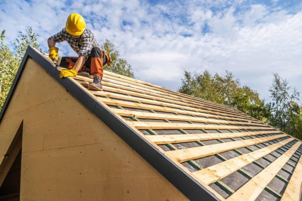 Best Roof Gutter Cleaning  in Vinings, GA